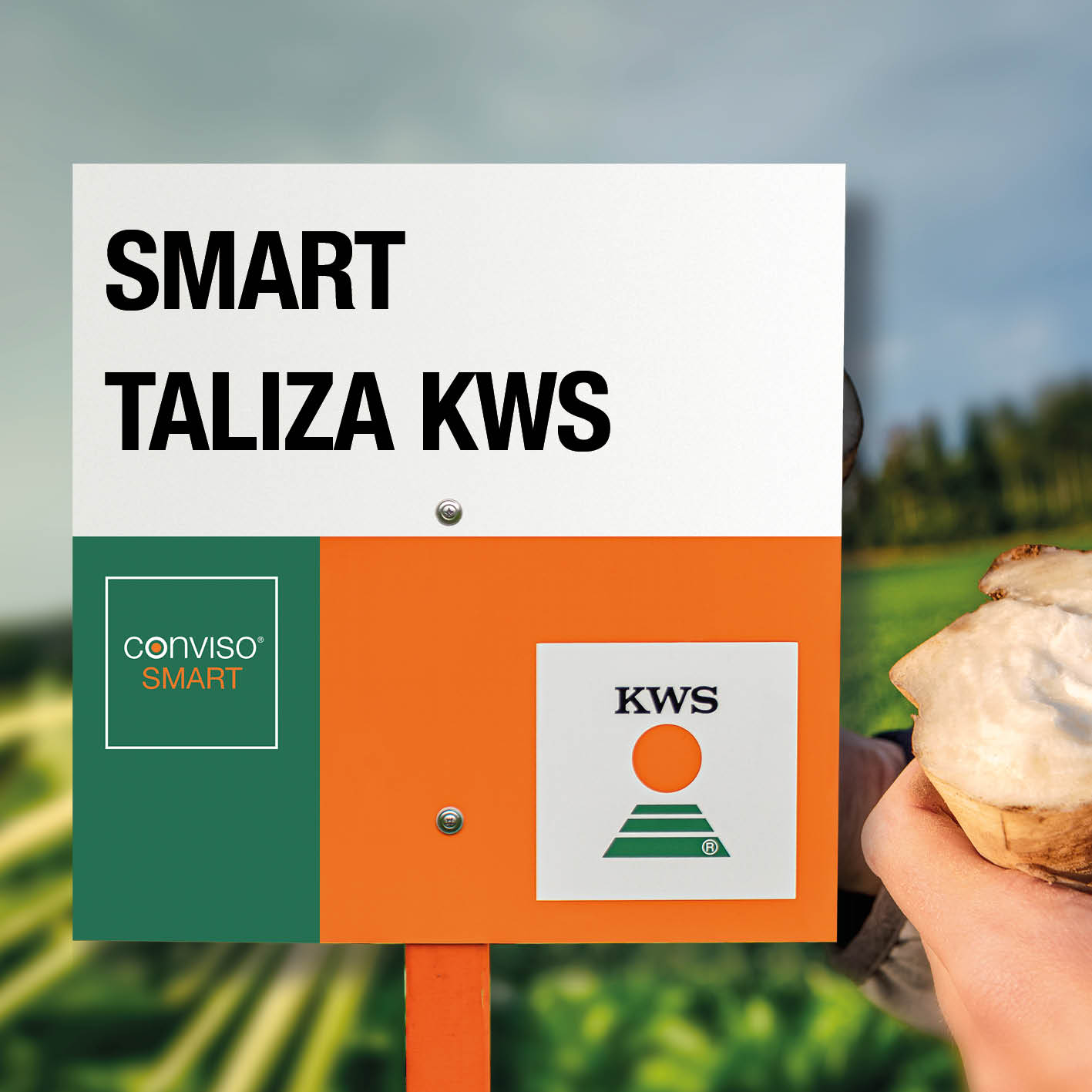 SAMRT TALIZA, La solución en Remolacha Azucarera