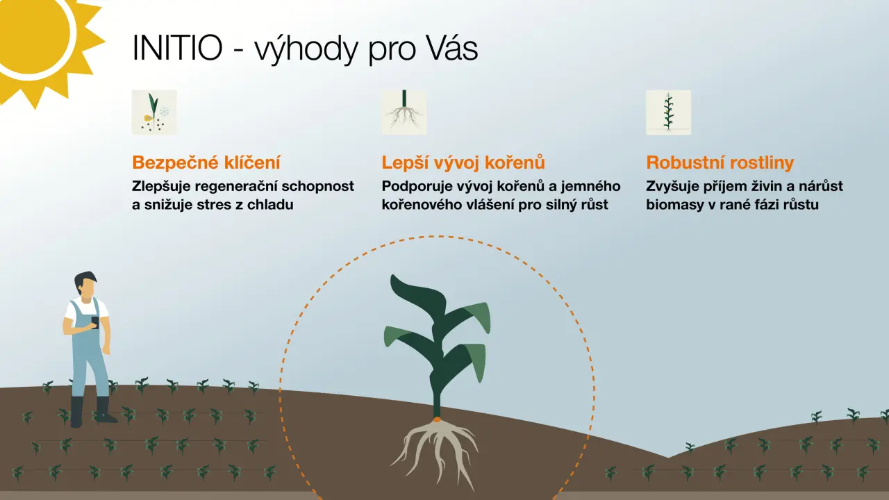 kws-initio-banner-web-2500x1408.jpg