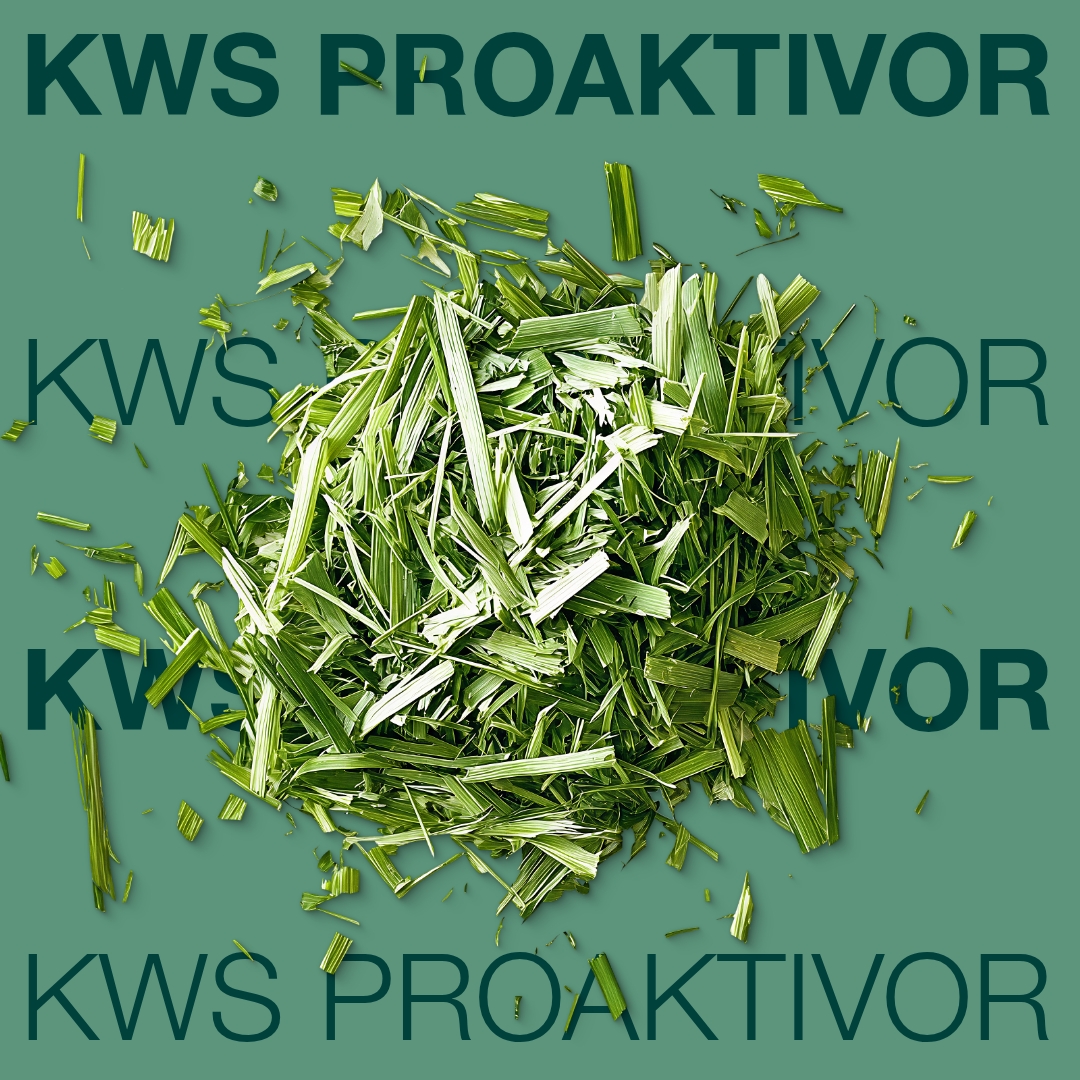 kws_proaktivor_keyvisual_cz_1x1_1.jpg