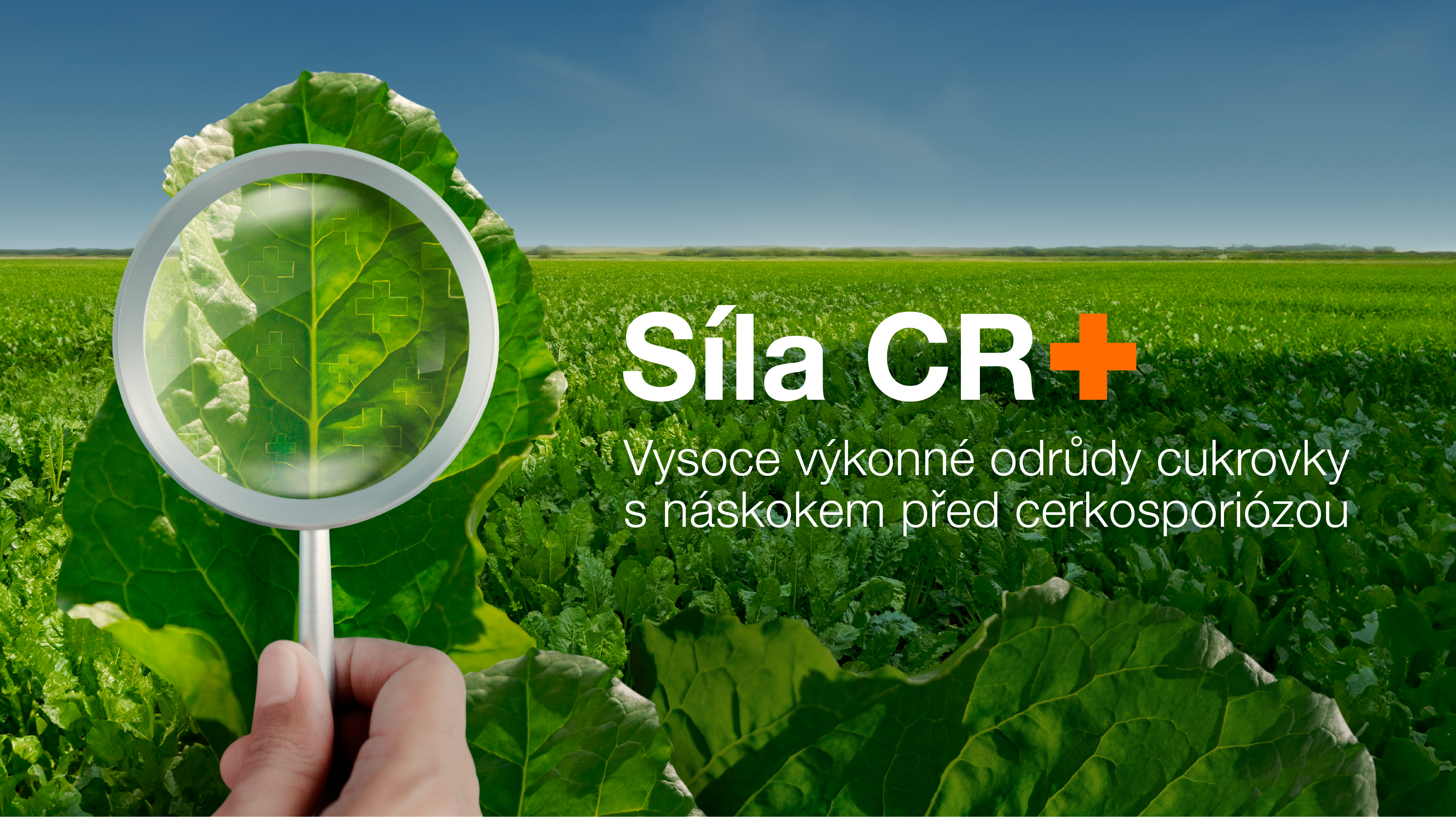 cr-2025-the-power-of-landing-page-cz-01-(2).jpg