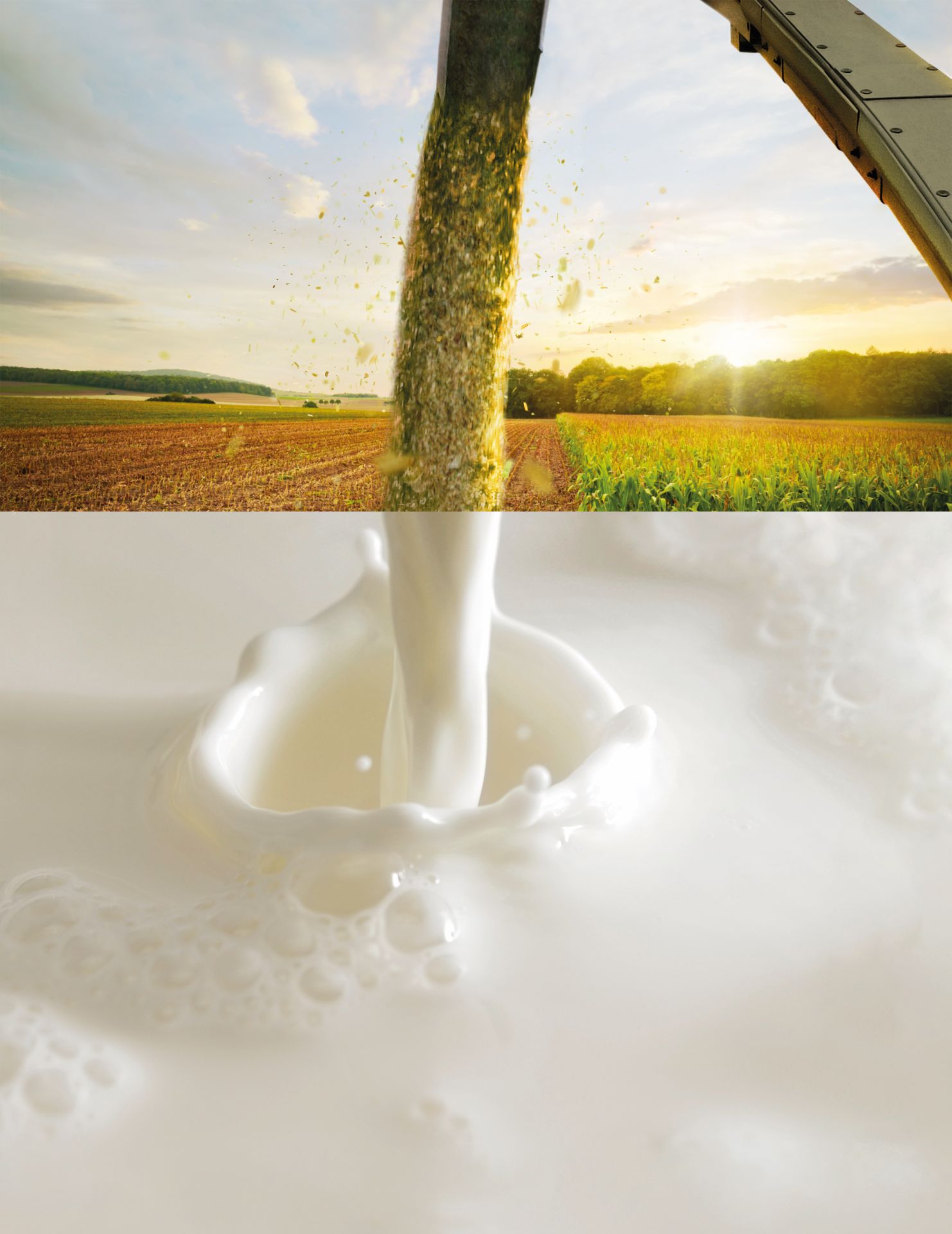 rz_kws_keyvisual_splitscreen_ernte_4c_web.jpg
