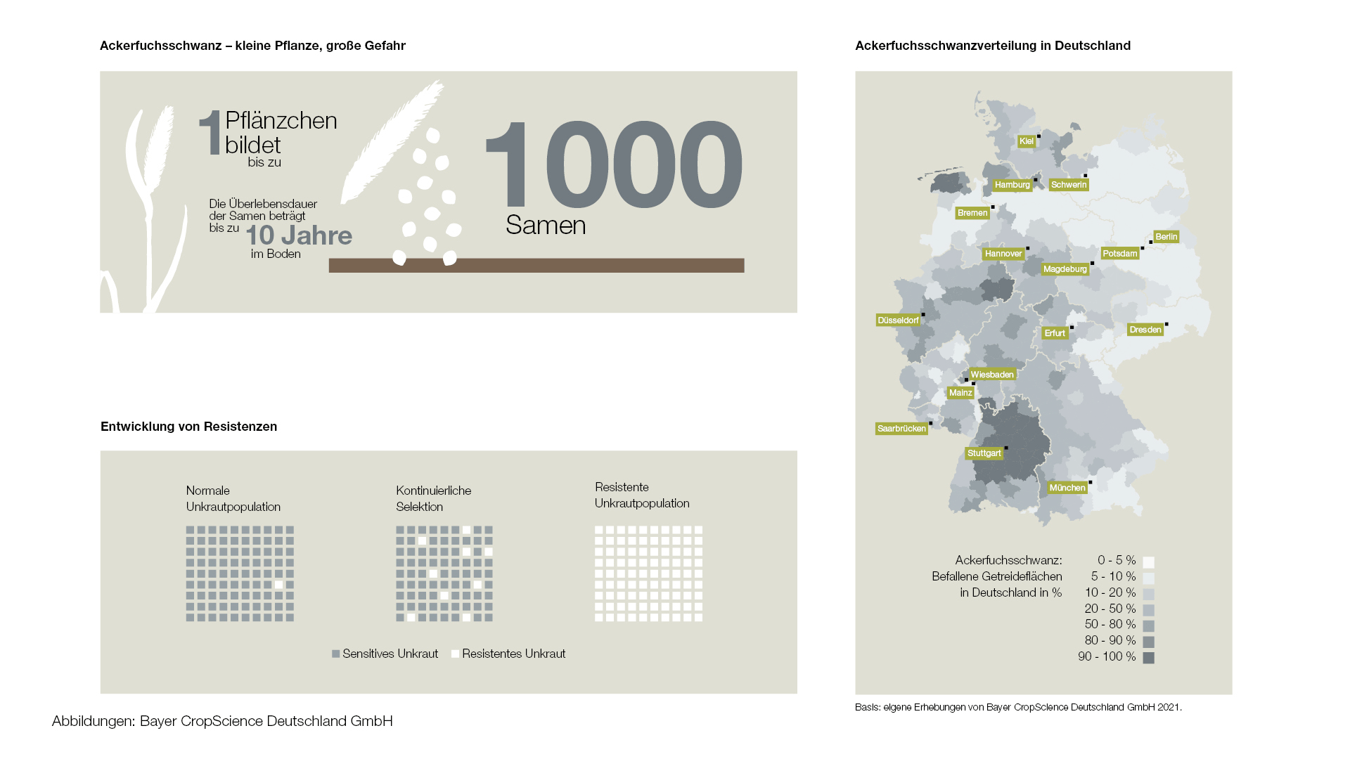 Ackerfuchsschwanzverteilung und Entwicklung von Resistenzen