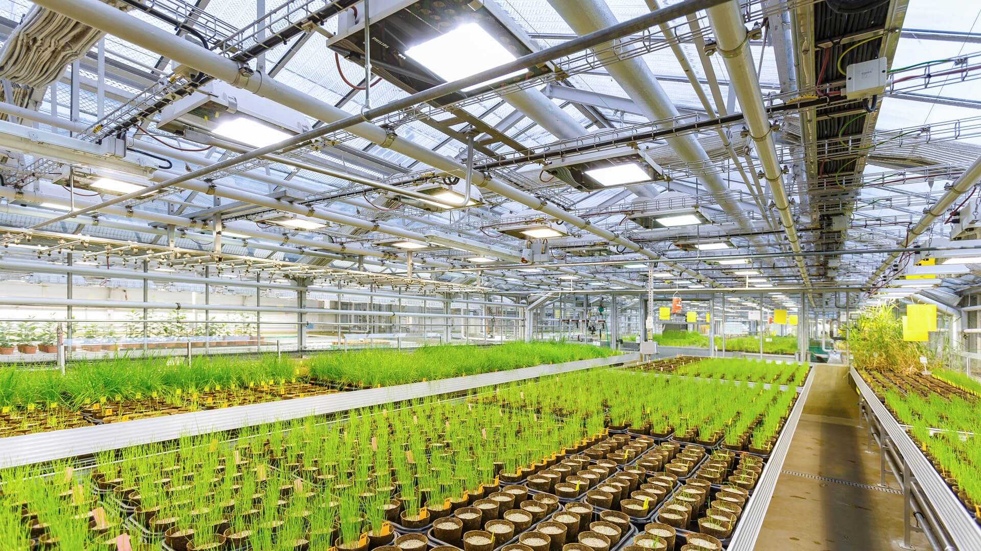 Forschung und Entwicklung arbeiten kontinuierlich an neuen Wirkstoffgenerationen