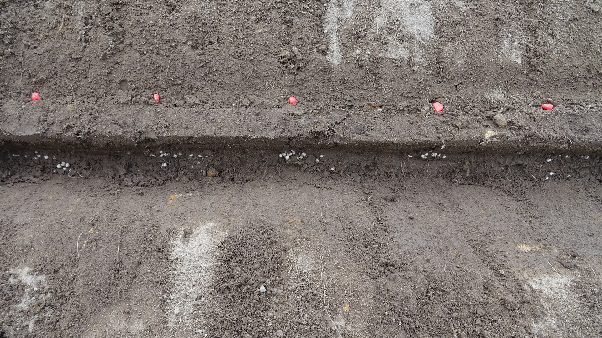 Unterfußdüngung mit unterbrochenem Düngerband - Düngerdepot direkt unter jedem Saatkorn