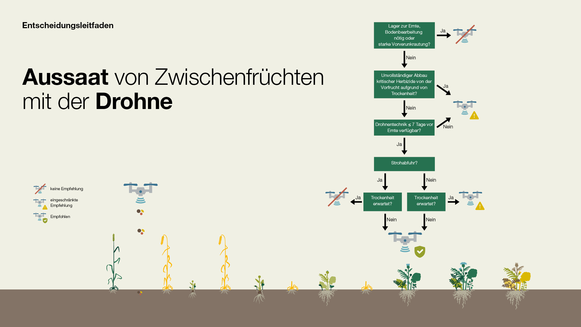 Entscheidungsleitfaden: Aussaat von Zwischenfrüchten mit der Drohne