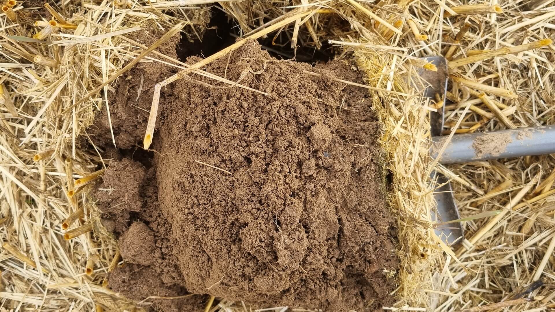 Bodenstruktur anhand des Spatenaushubs