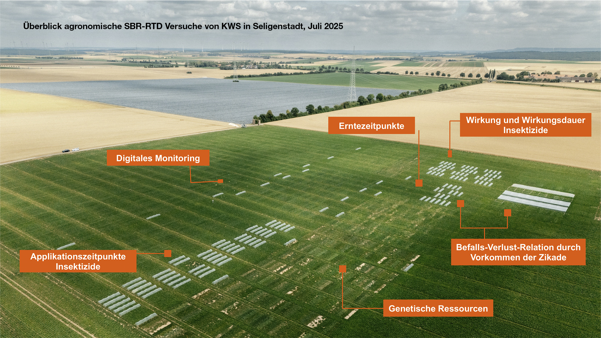 Überblick agronomische SBR-RTD Versuche von KWS in Seligenstadt, Juli 2025