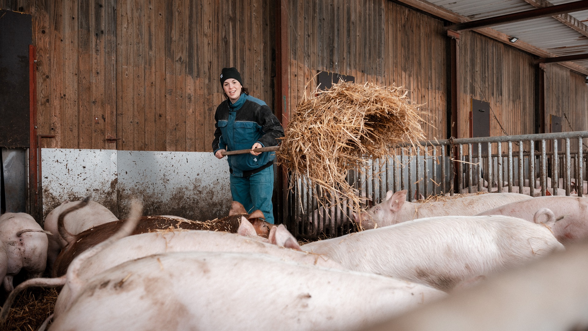 bp_08-lisa-wille-schweinefuetterung.jpg
