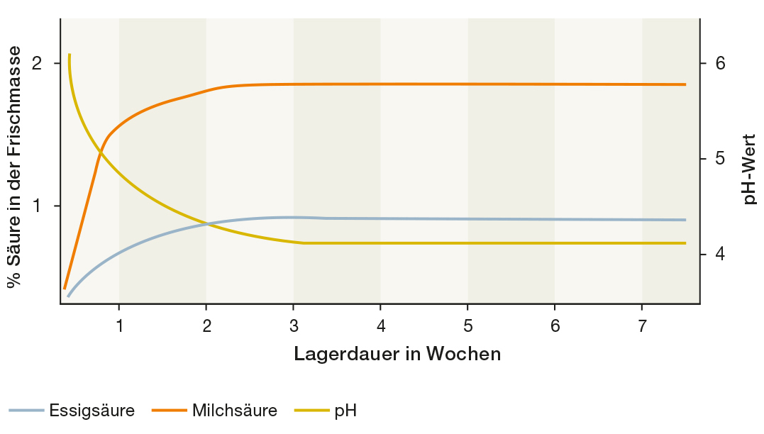 Abbildung: Optimaler Gärverlauf der Milchsäuregärung