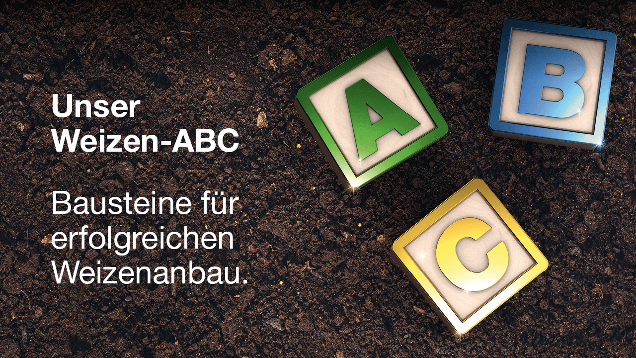 kws-weizen-abc.png