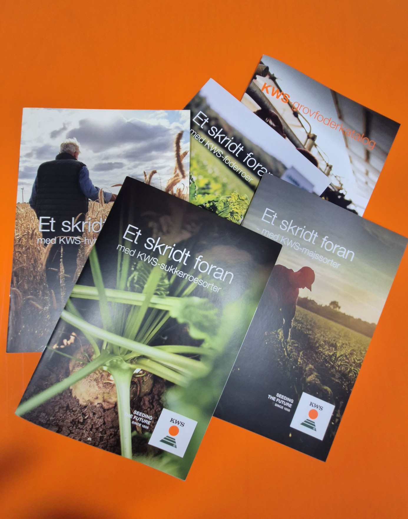 KWS roekatalog 2024