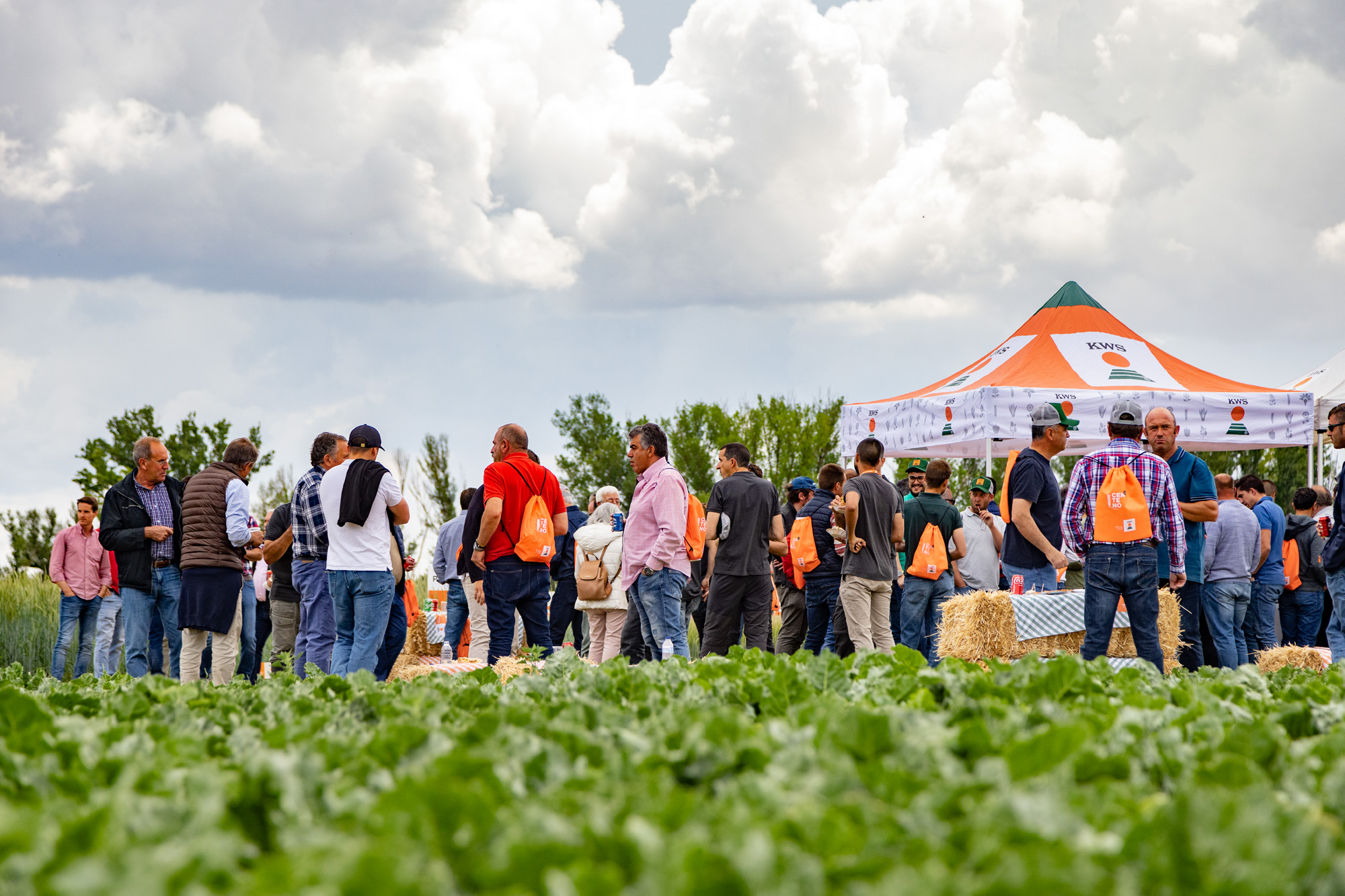 219-kws-evento-1-junio-2023-(2).jpg