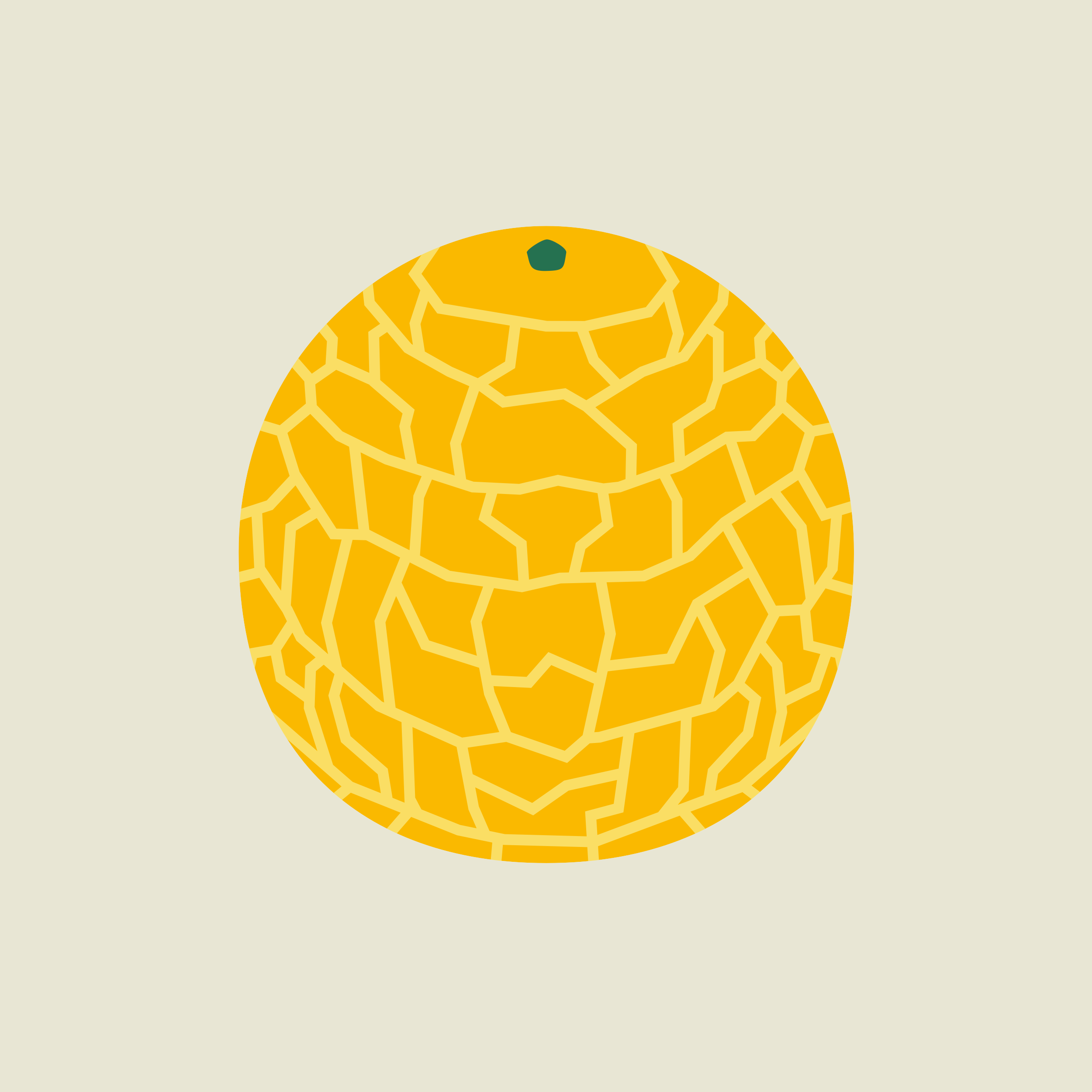 kws-icon-galia-melon-rgb-s.png