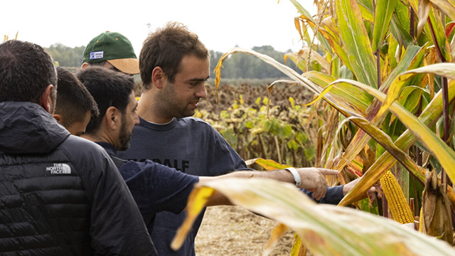 agricultor-local-kws.jpg