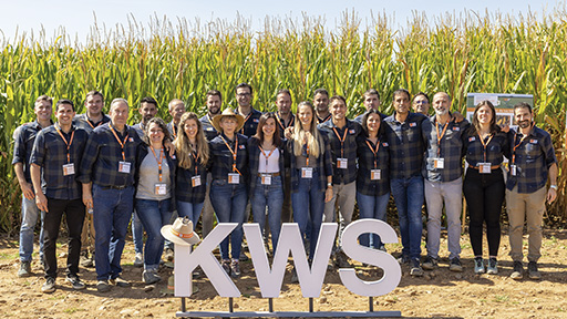 equipo-kws-web-522x128.jpg