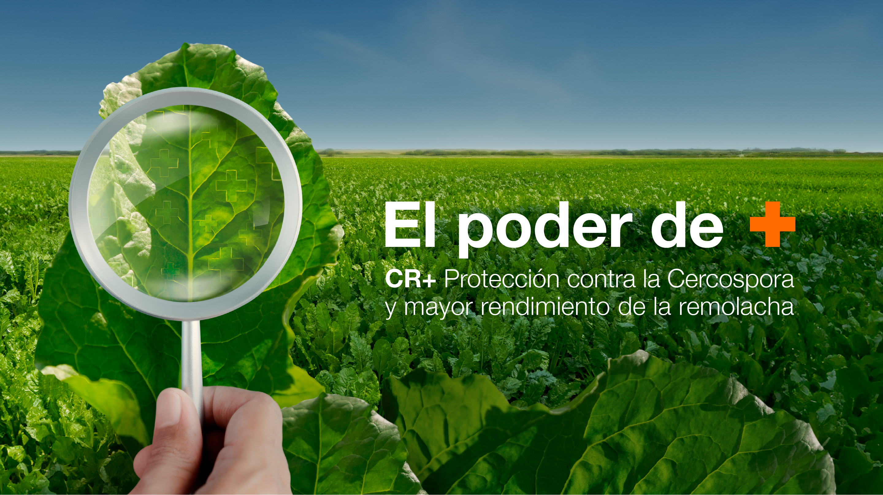 cr-2025-the-power-of-landing-page-es.jpg