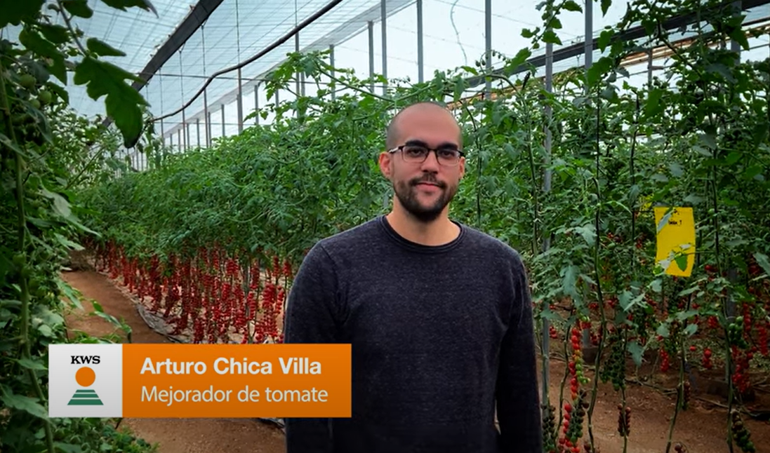 Conoce a nuestro genetista de tomate