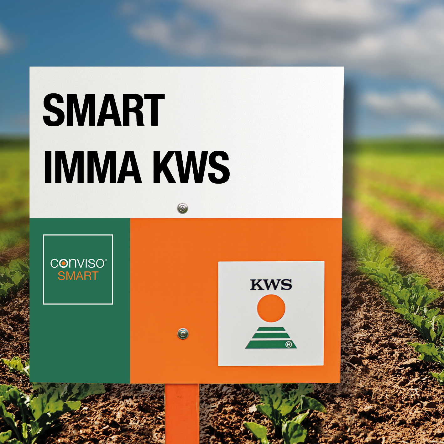 010_kws_smart_imma_kws.jpg