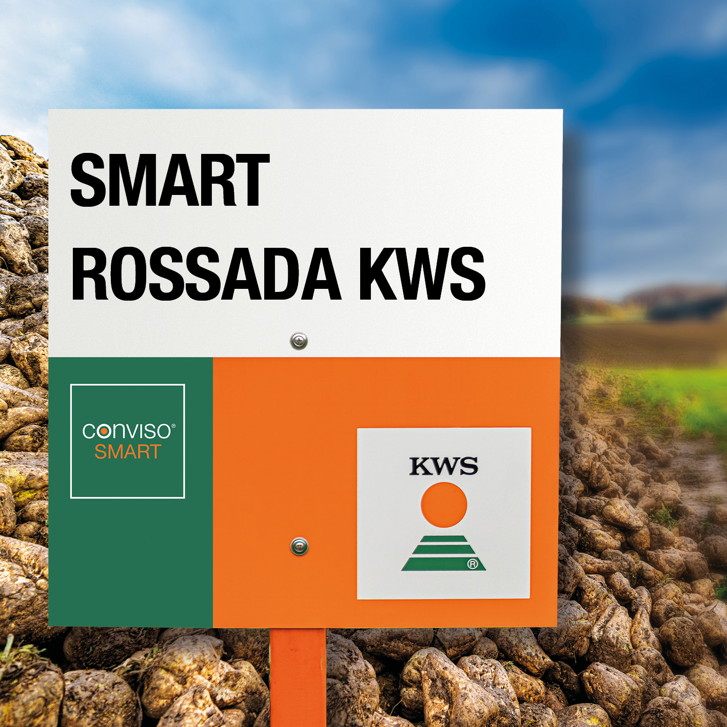 026_kws_smart_rossada_kws.jpg