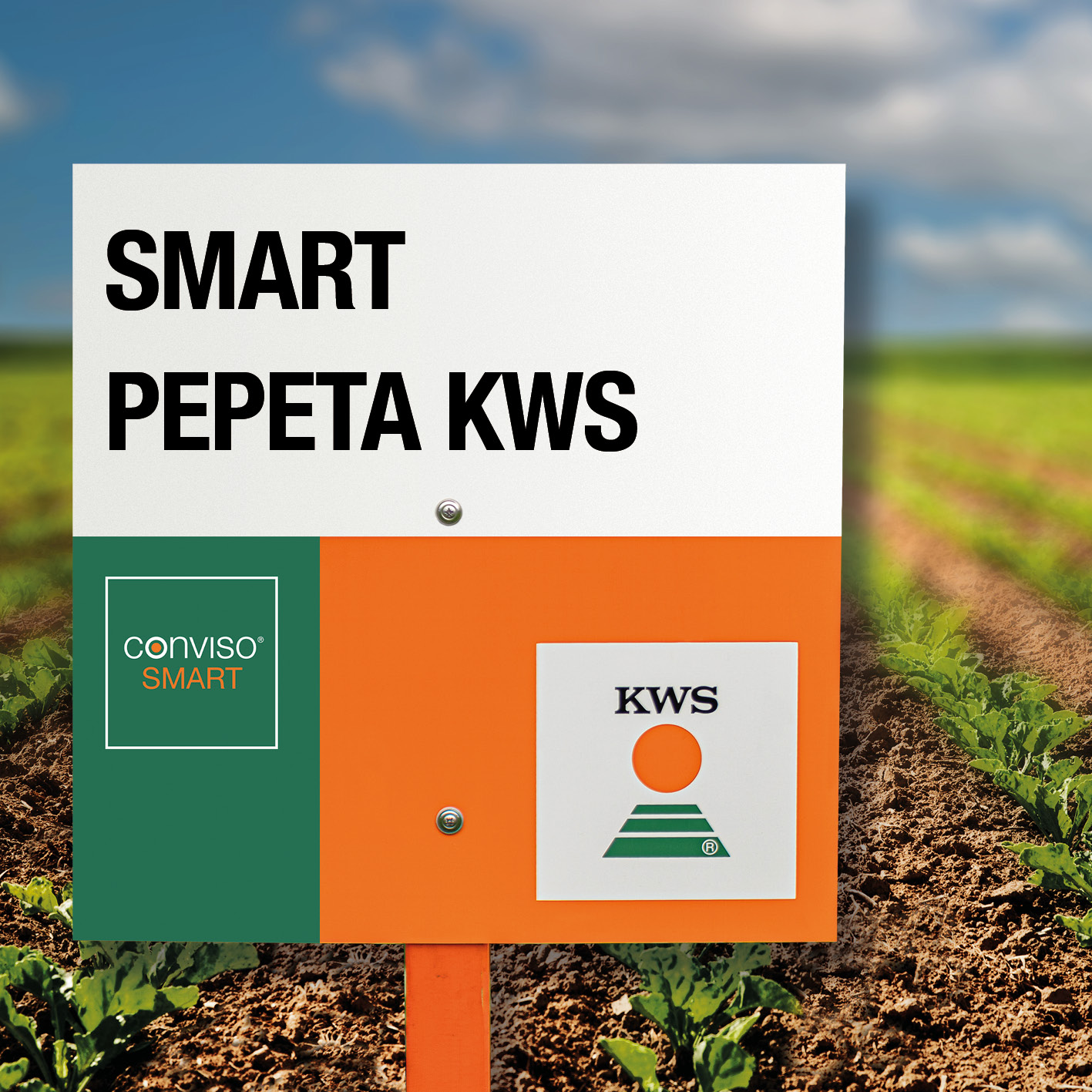 027_kws_smart_pepeta_kws.jpg