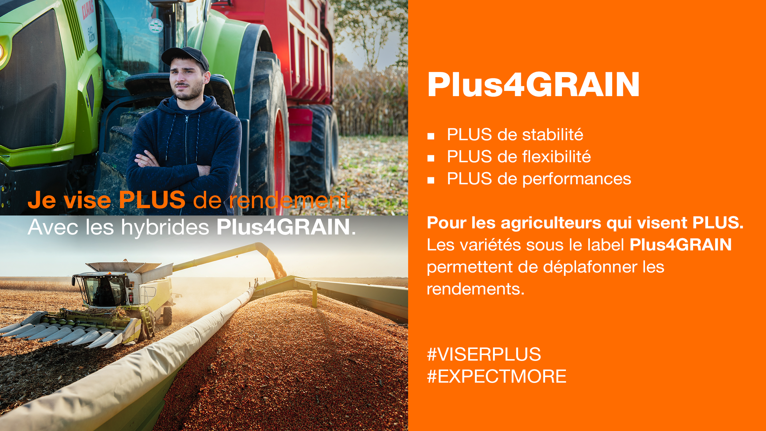 Plus4GRAIN