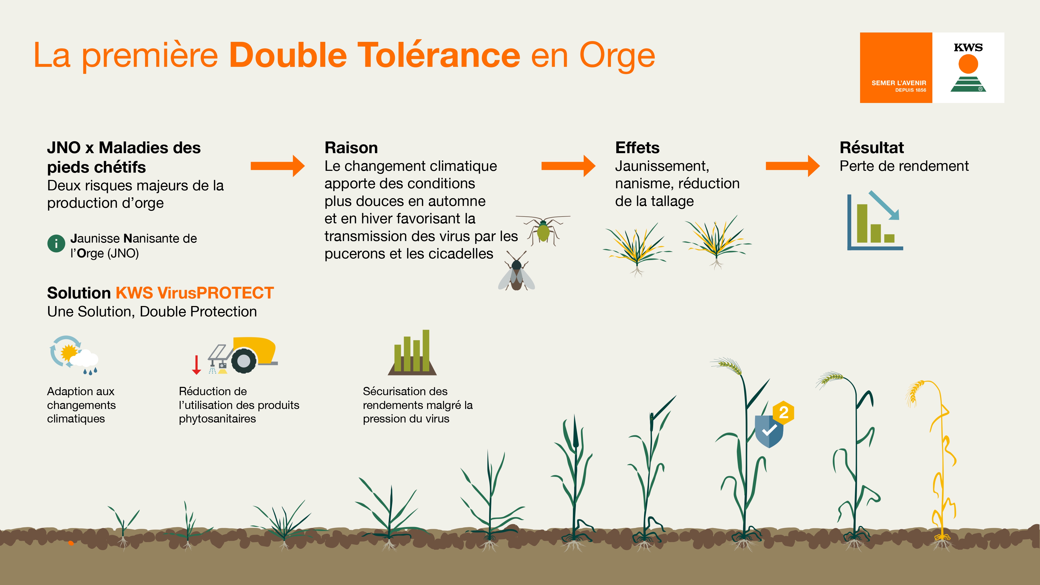 VirusPROTECT, double protection contre la JNO et les pieds chétifs