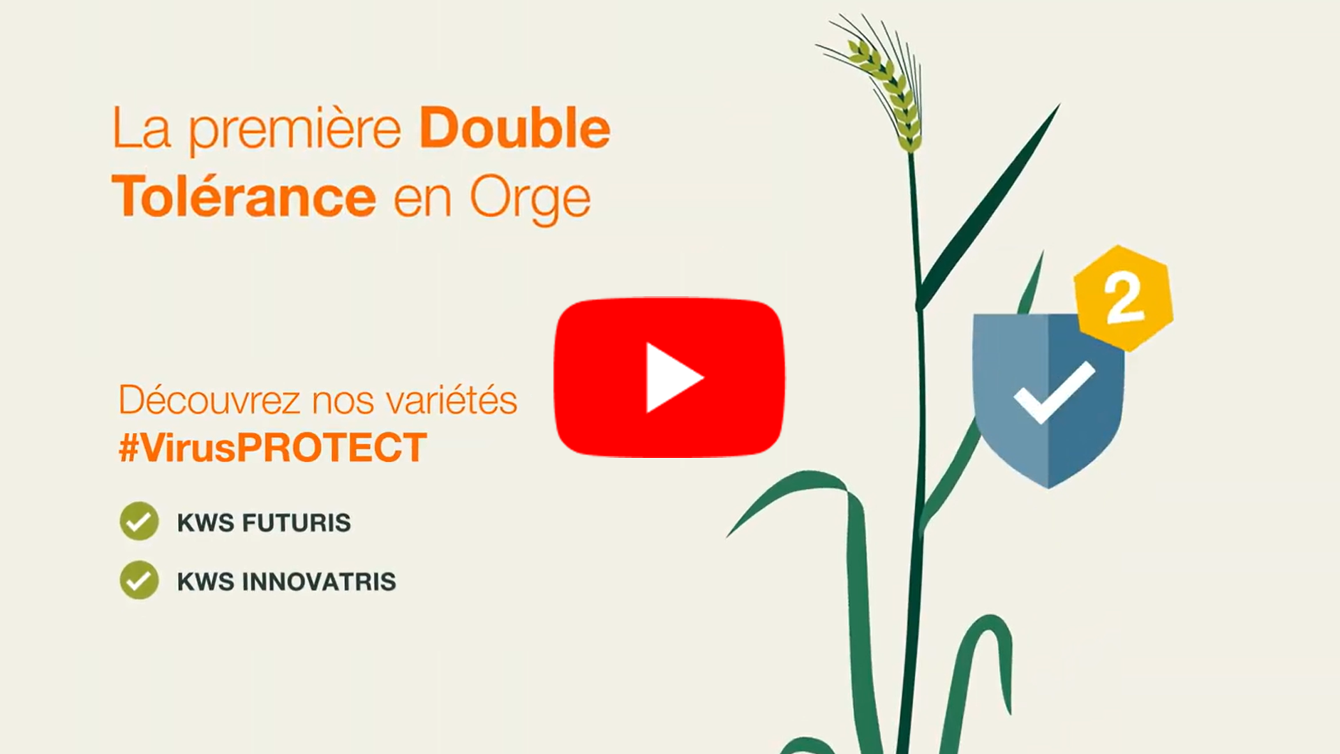 visuel-video-motion-virusprotect.png