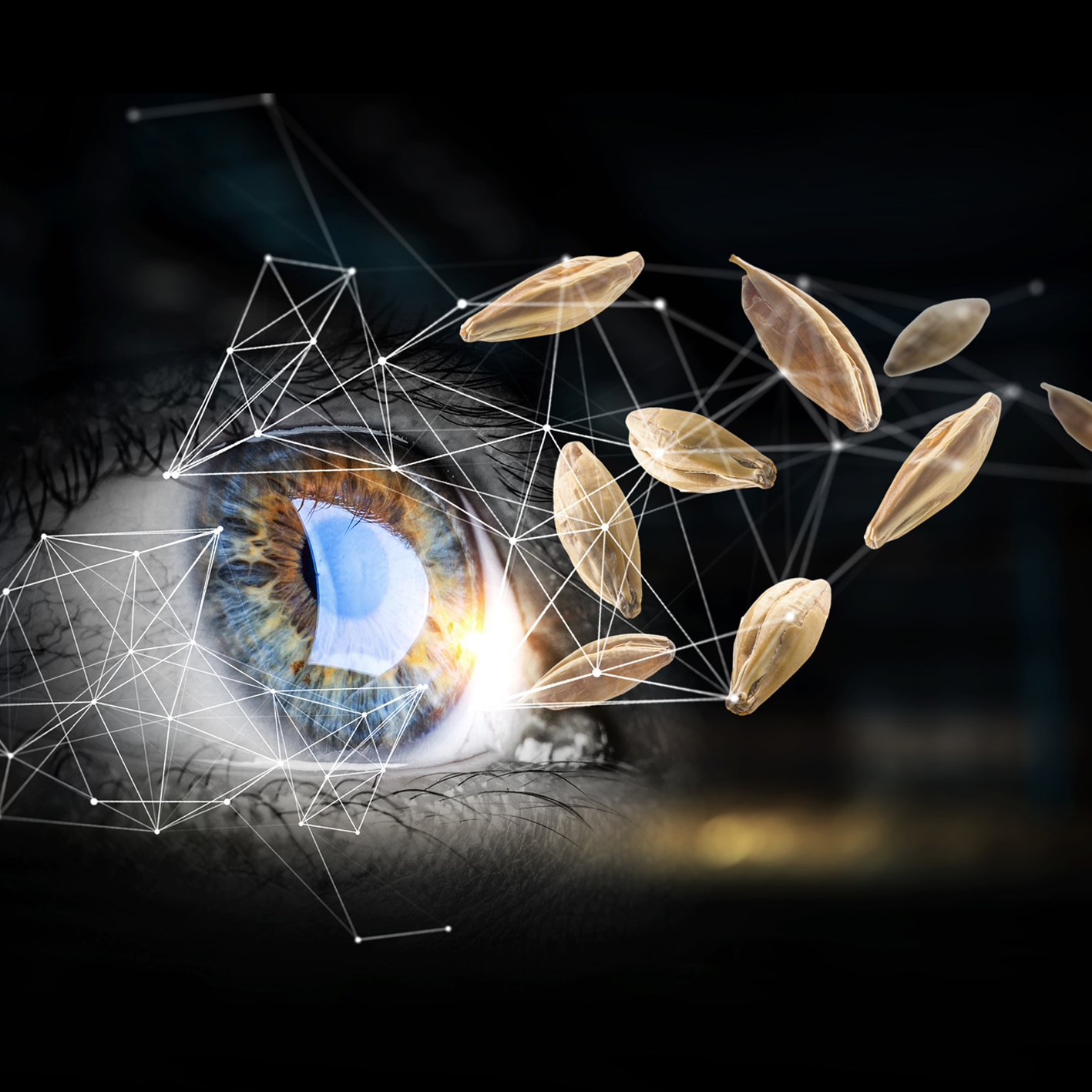 visuel-web-barley-futuris.png