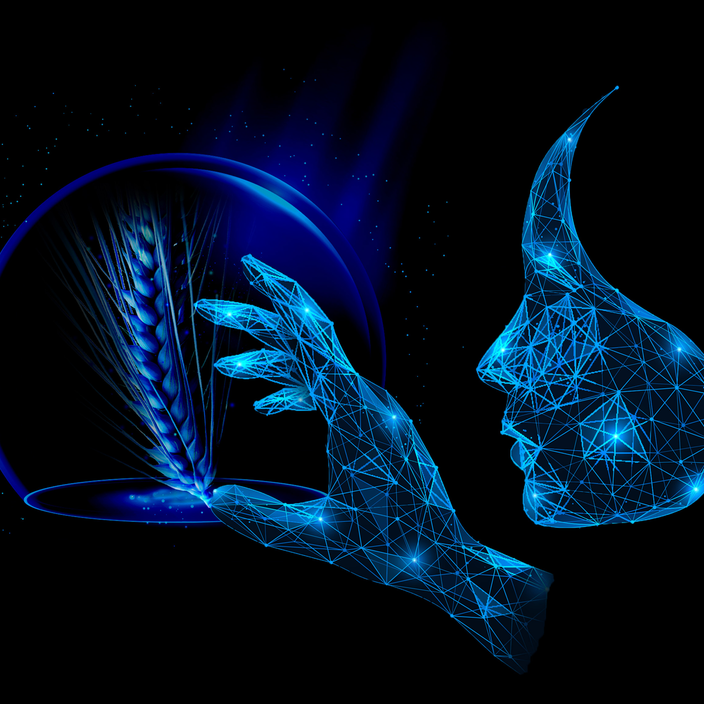 visuel-web-barley-innovatris-2.png