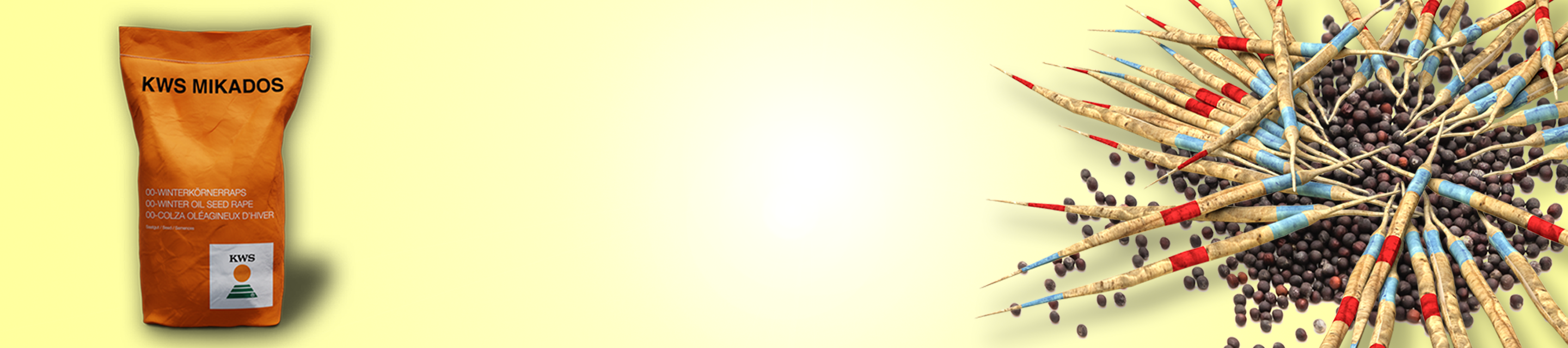 header-jeuconcours-mikados.png