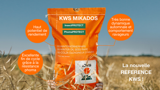 KWS MIKADOS, la variété gagnante !