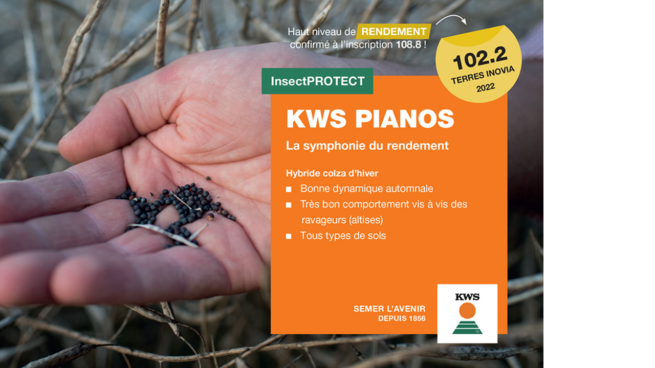 KWS PIANOS, du rendement en toutes circonstances !