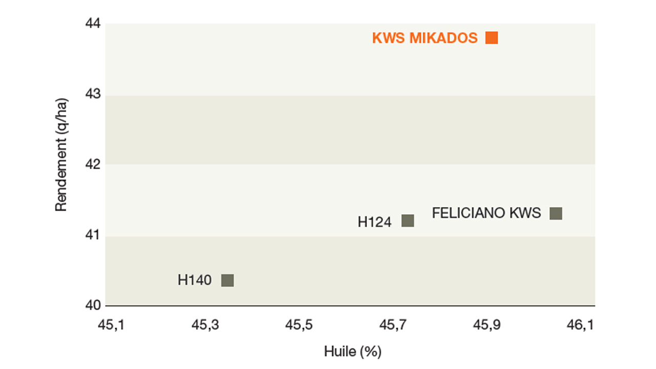 KWS MIKADOS, quantité et qualité !