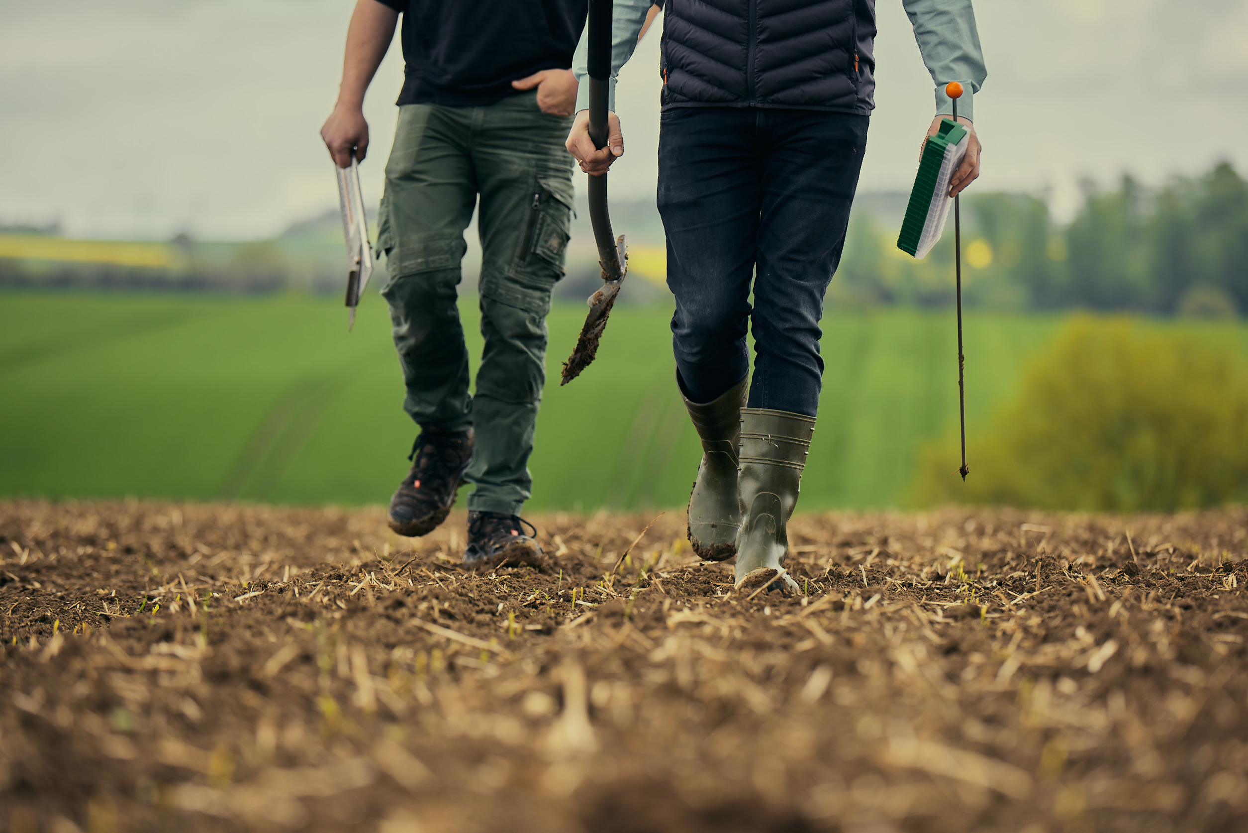 Votre partenaire semencier KWS France