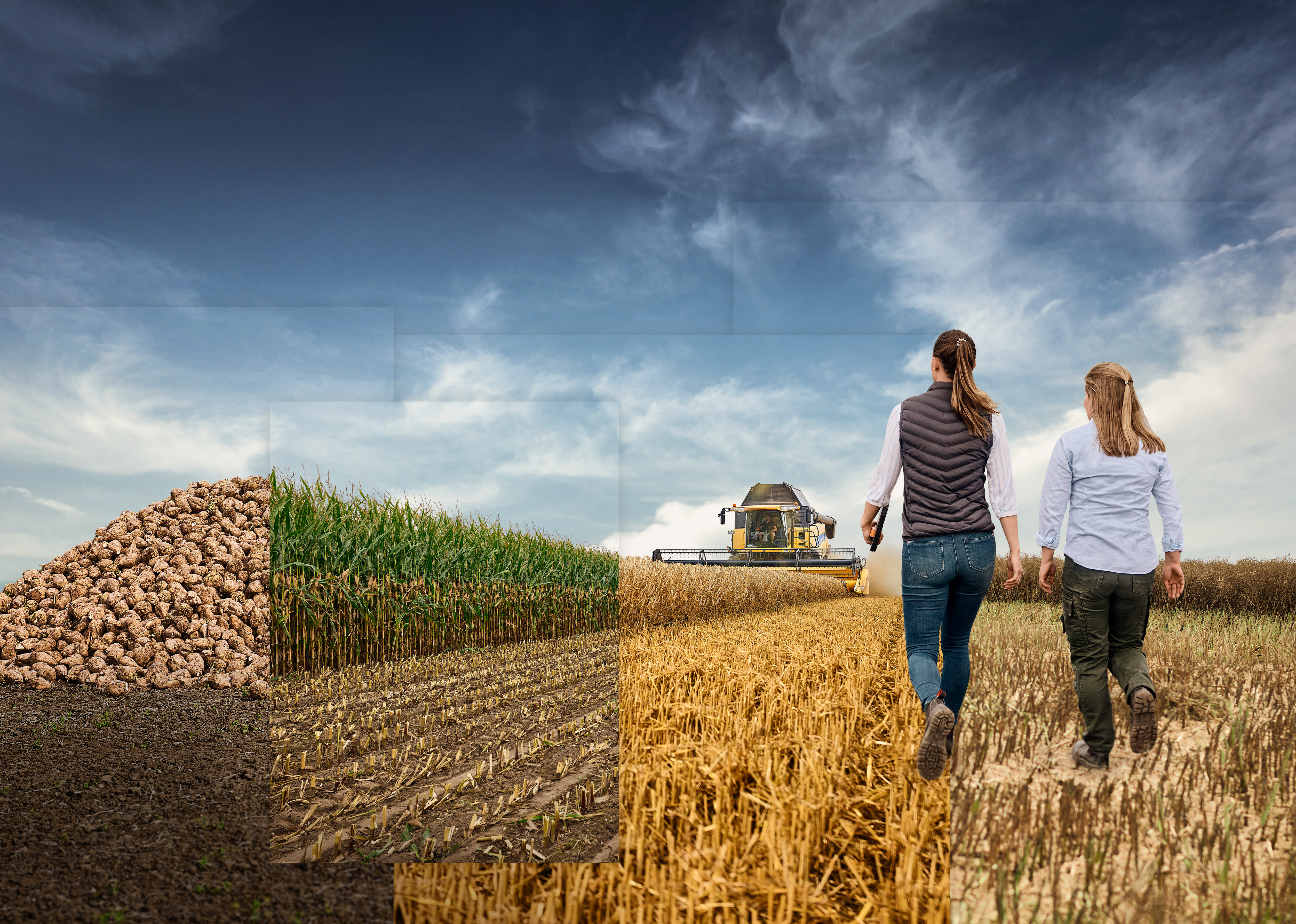 Nombreuses cultures : toute l'année des semences KWS France