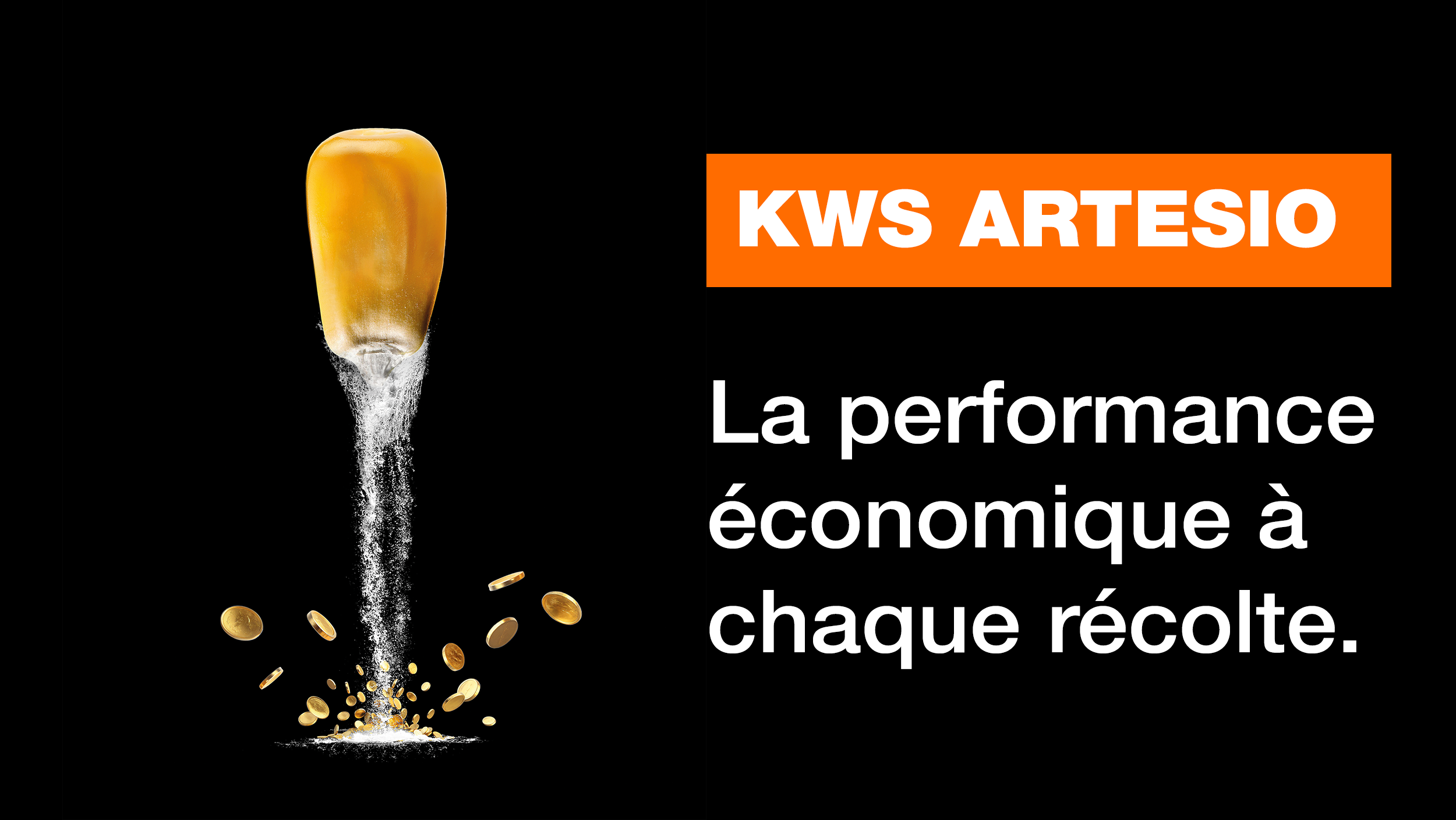KWS ARTESIO