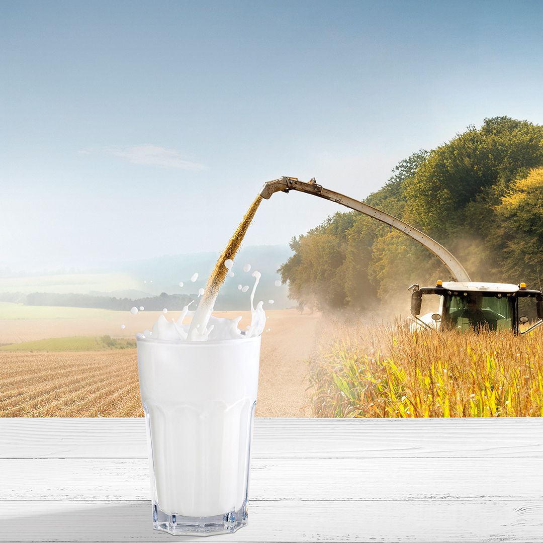 Visuel energyboost more milk 2025