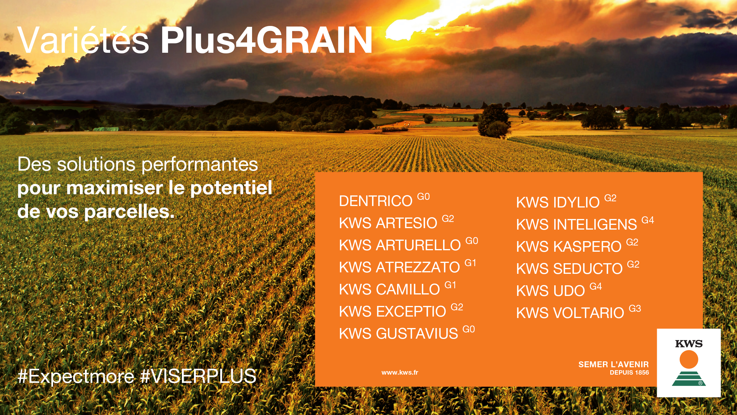 PLUS4GRAIN, pour PLUS de rendement en maïs grain