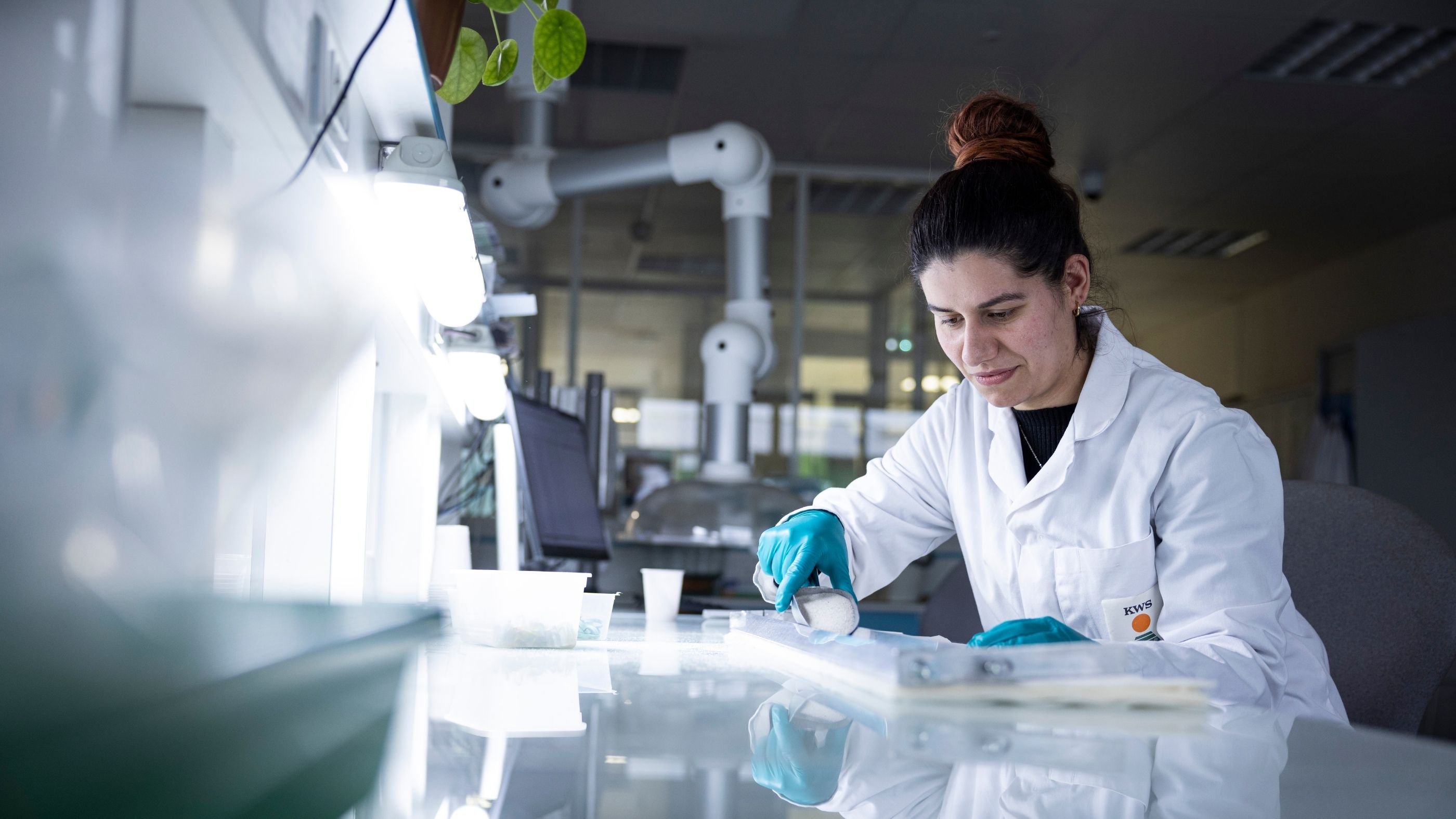 Recherche et essais KWS en France