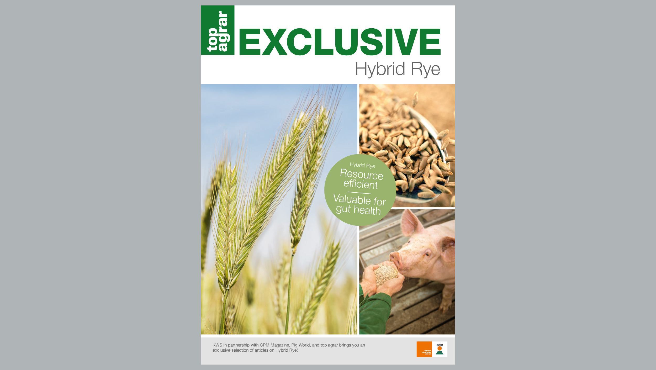 Top Agrar –  Hybrid Rye EXCLUSIVE cover image