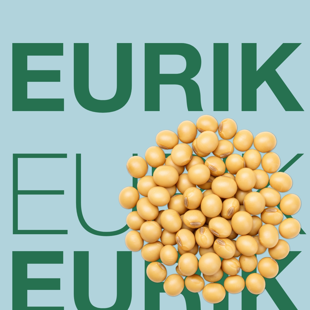 eurik_keyvisual_hr_1x1_1.jpg