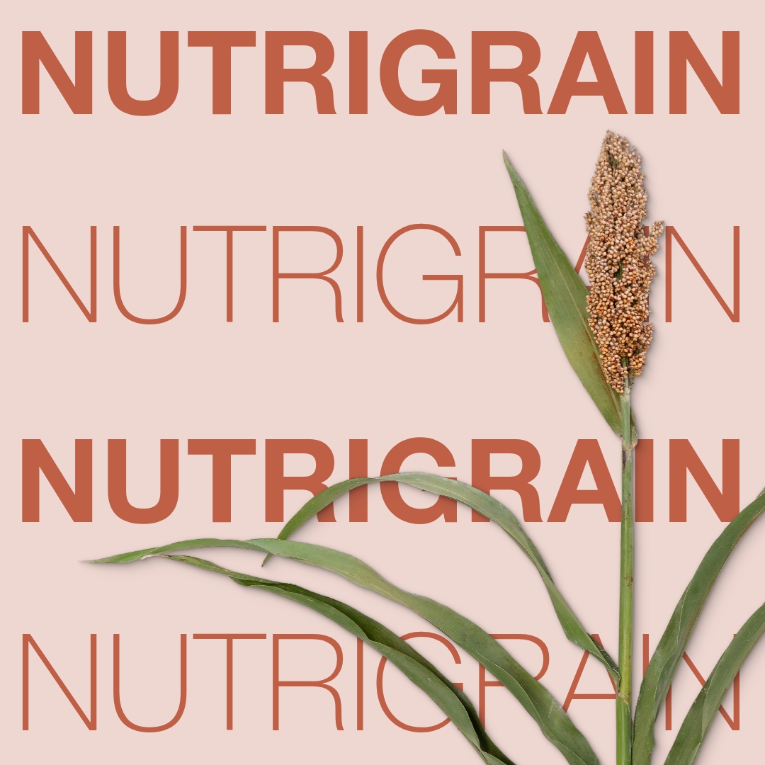 nutrigrain_keyvisual_hr_1x1_1.jpg
