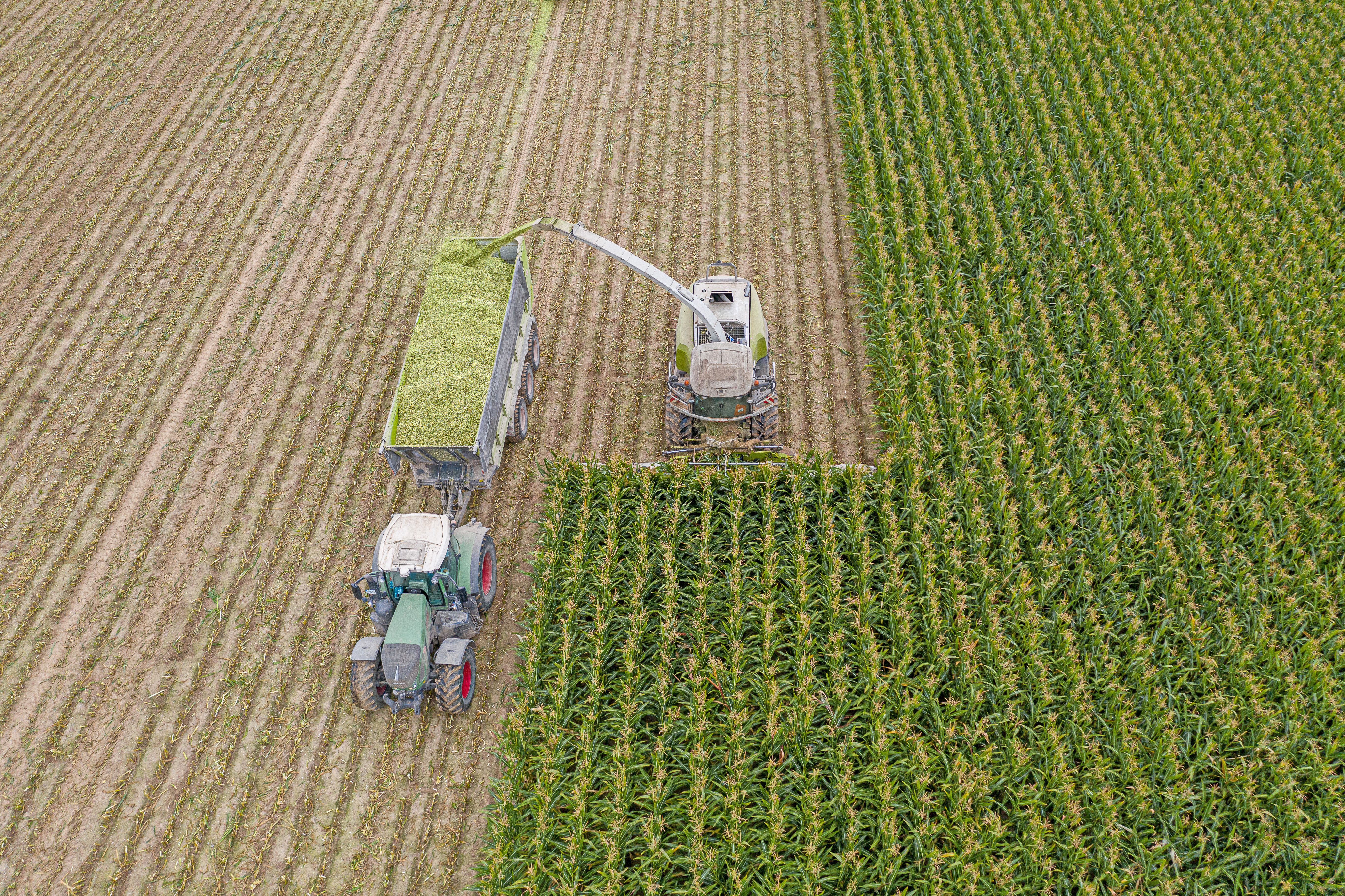 kws0919_corn_harvest_dji_0699.jpg