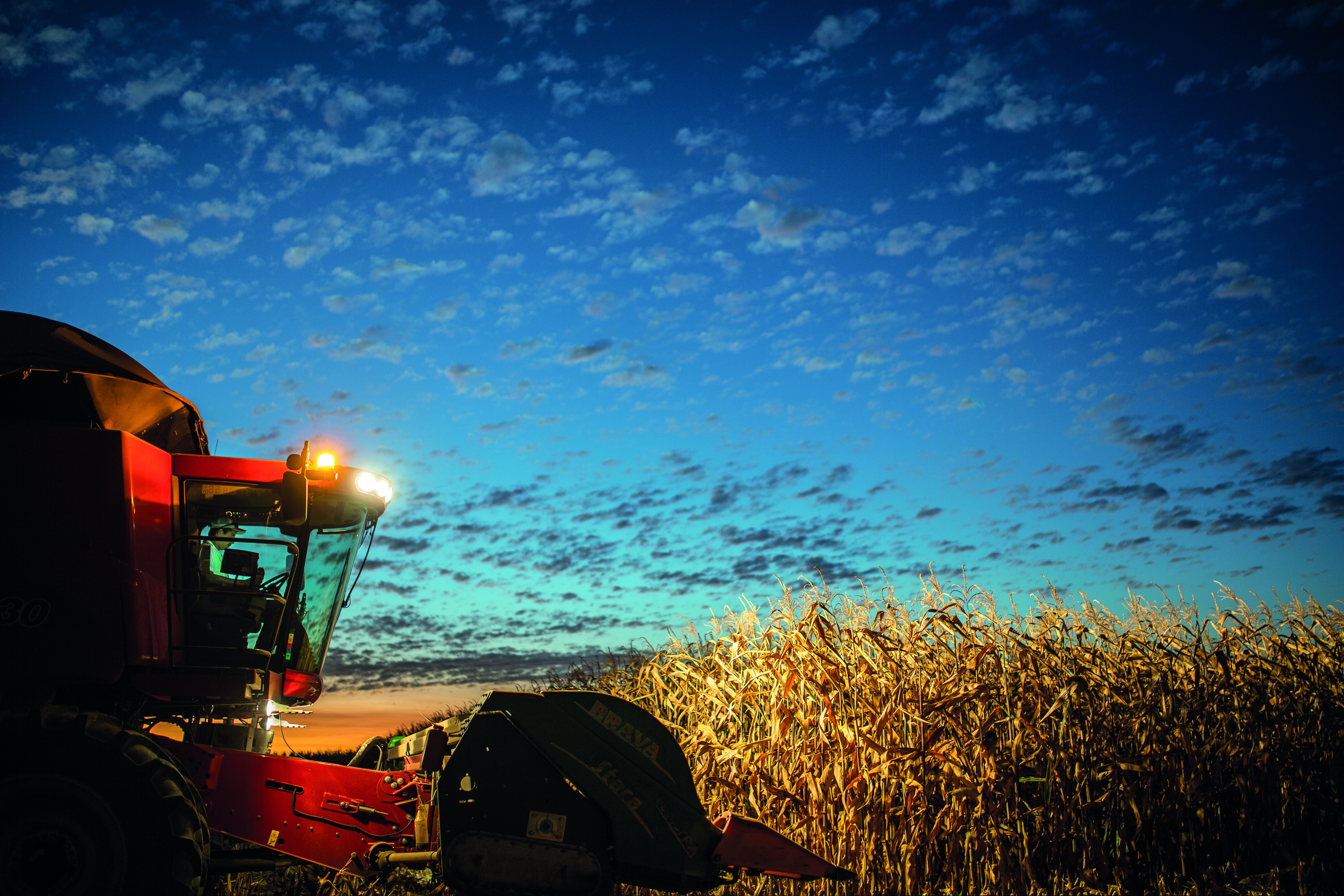 kws201707_minasgerais__corn_harvest_7958.jpg