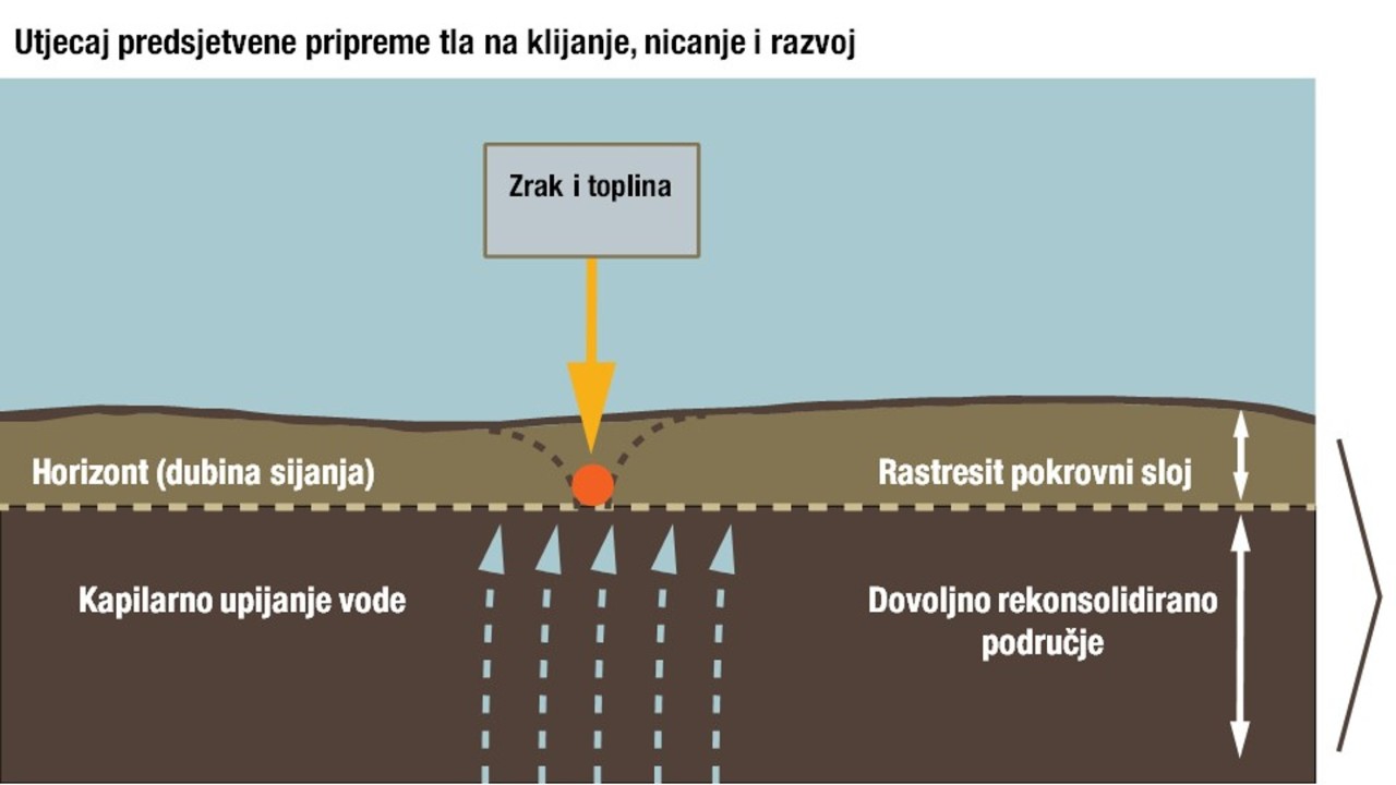 slide11.jpg