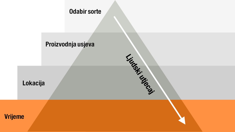 Izvodljivost kontrole napada ražena glavica