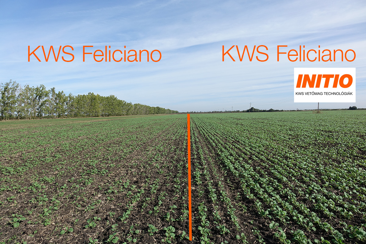 kws_feliciano_initio.jpg