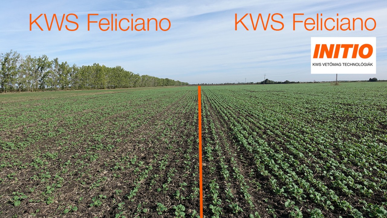 kws_feliciano_initio.jpg