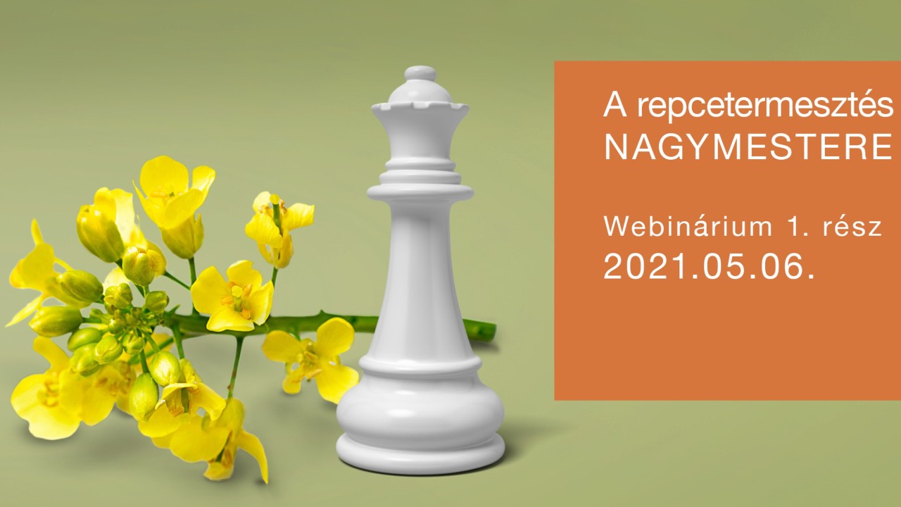 repcetermesztés nagymestere