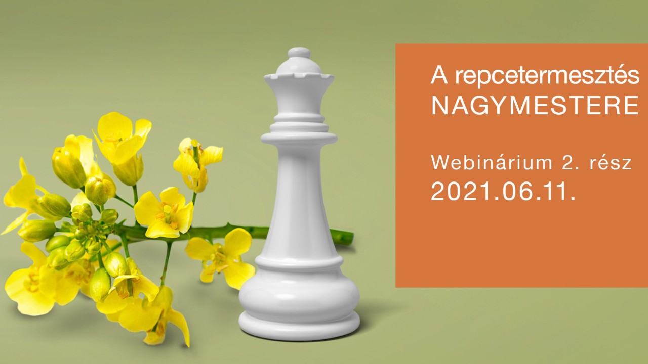 repcetermesztés nagymestere